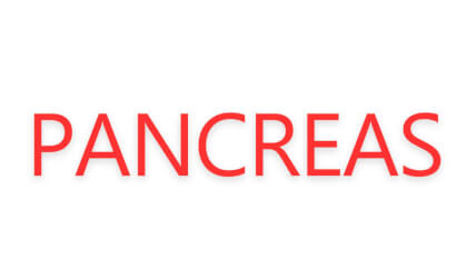 pancreas cms