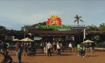 San Diego Zoo 2023, part 1 Flat 3D San Diego Zoo 2023, part 1 Flat 3D