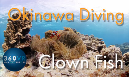 Okinawa Diving [ Clown fish and sea anemone 360fix ]