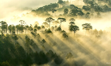 BANA HILL VID_20221102_112612_00_070 VR Video BANA HILL VID_20221102_112612_00_070 VR