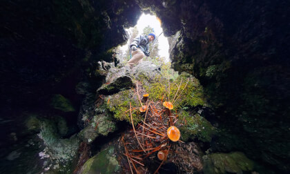 Take a Peak 28 VR Video Take a Peak 28 VR