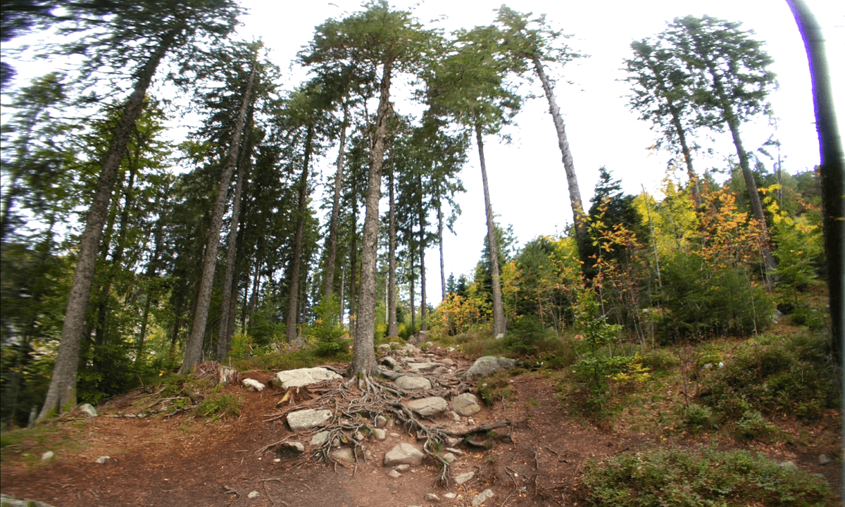a hike around Lac Blanc in the Vosges mountains, France, Alsace