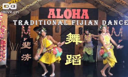 New Zealand Maori traditional dance show VR180