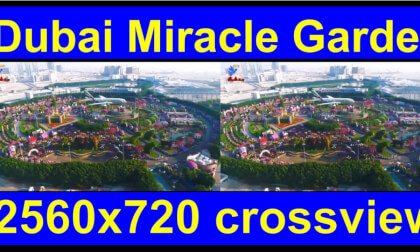 Dubai Miracle Garden, United Arab Emirates in 3D video 2560x720 cross-view VR Video Dubai Miracle Garden, United Arab Emirates in 3D video 2560x720 cross-view VR