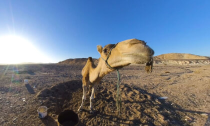 180 VR - Egypt - Marsa Alam - 2022 (week vacation.) - part 3/6 180 VR - Egypt - Marsa Alam - 2022 (week vacation.) - part 3/6