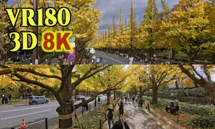 TOKYO Jingu Gaien Ginkgo Tree Avenue in Autumn