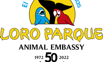 Loro Parque Animal Embassy - Sea Seal Show VR Video Loro Parque Animal Embassy - Sea Seal Show VR