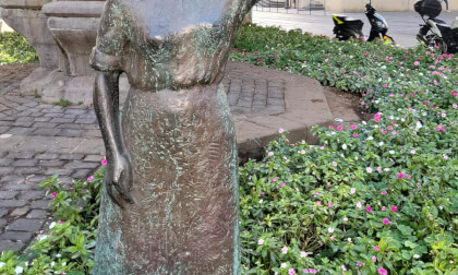 Parque en Santa Cruz de Tenerife