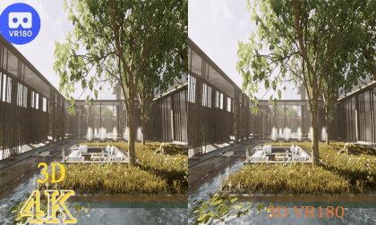 最好的生活,有个院子栽花泡茶VR180 VR Video 最好的生活,有个院子栽花泡茶VR180 VR