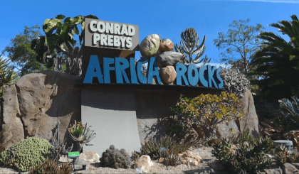 San Diego Zoo 2023, part 3 Flat 3D VR Video San Diego Zoo 2023, part 3 Flat 3D VR