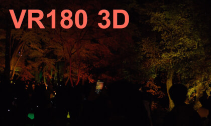 NAKED Shinjuku Gyoen National Garden in autumn leaves 2023 VR Video NAKED Shinjuku Gyoen National Garden in autumn leaves 2023 VR