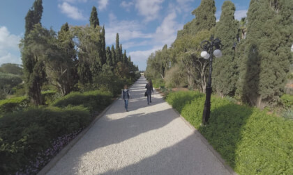 360 VR Path among the trees in Bahai Gardens, Israel