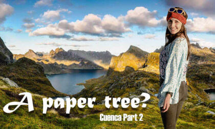 Wow: We found the PAPER TREE! Wow: We found the PAPER TREE!