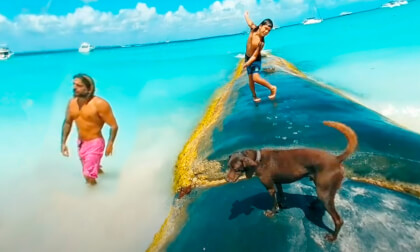 1692Isla Mujeres #15 VR Video 1692Isla Mujeres #15 VR