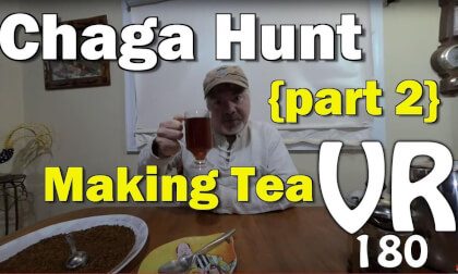 How to Grind and make Chaga Mushroom Tea How to Grind and make Chaga Mushroom Tea