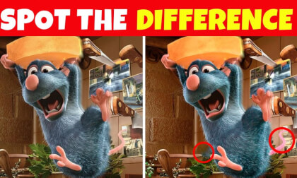Spot the difference - for Kids | Child Friendly - Find the Difference 01 VR Video Spot the difference - for Kids | Child Friendly - Find the Difference 01 VR
