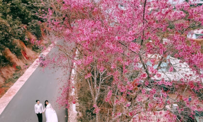 KOKORO COFFE- Dalat Vietnam VR Video KOKORO COFFE- Dalat Vietnam VR