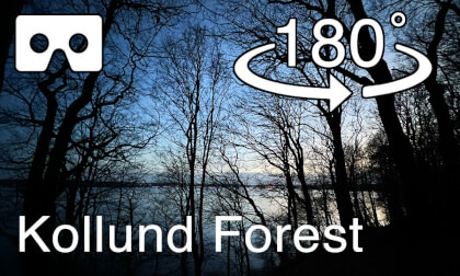 Dark Rainy day In the Kollund forest VR Video Dark Rainy day In the Kollund forest VR