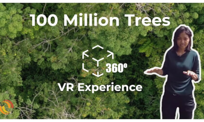 100 Million Trees