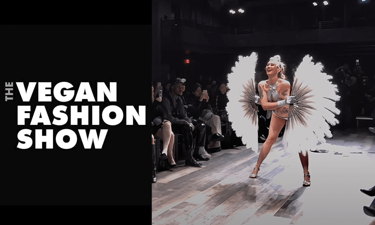 The Vegan Fashion Show - Virtual Reality Experience - 3D - VR180