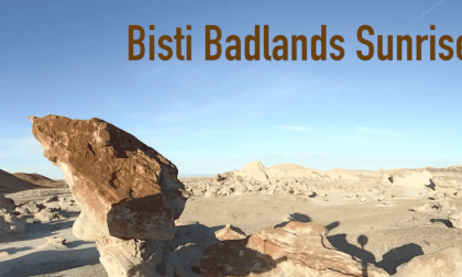 Bisti Egg Garden Longer VR Video Bisti Egg Garden Longer VR