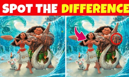 Spot the difference - for Kids | Child Friendly - Find the Difference Game 03 Spot the difference - for Kids | Child Friendly - Find the Difference Game 03