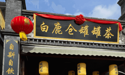Wear VR and travel to Bailuyuan, Xi'an, China VR游西安白鹿原