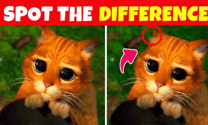 Spot the difference - for Kids | Child Friendly - Find the Difference 07 Spot the difference - for Kids | Child Friendly - Find the Difference 07