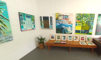 Susan Schmidt VR Video Susan Schmidt VR