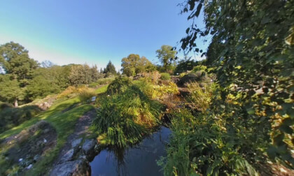 Botanisk hage 2_injected