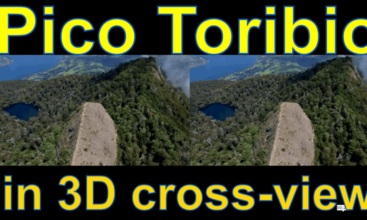 Parque Pico Toribio, Futrono, Chile in iXYt 3D test for VR