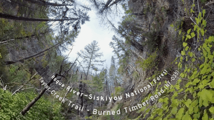 VR 360°  Hiking the Taylor Creek Trail in Fall Colors - Rogue River/Siskiyou National Forest