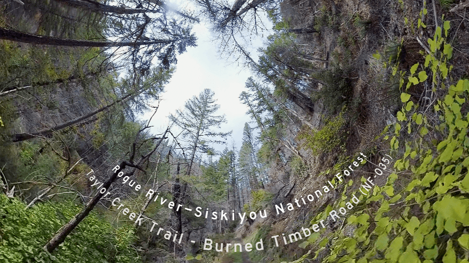 VR 360° Hiking the Taylor Creek Trail in Fall Colors - Rogue River/Siskiyou National Forest