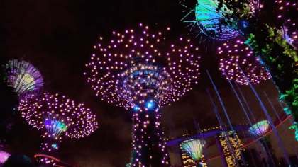 [180VR] Garden by The Bay, SuperTrees light and music show: An Evening of Musical Theatre