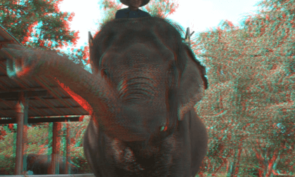 Pattaya Elephant Village - Anaglyph VR Video Pattaya Elephant Village - Anaglyph VR