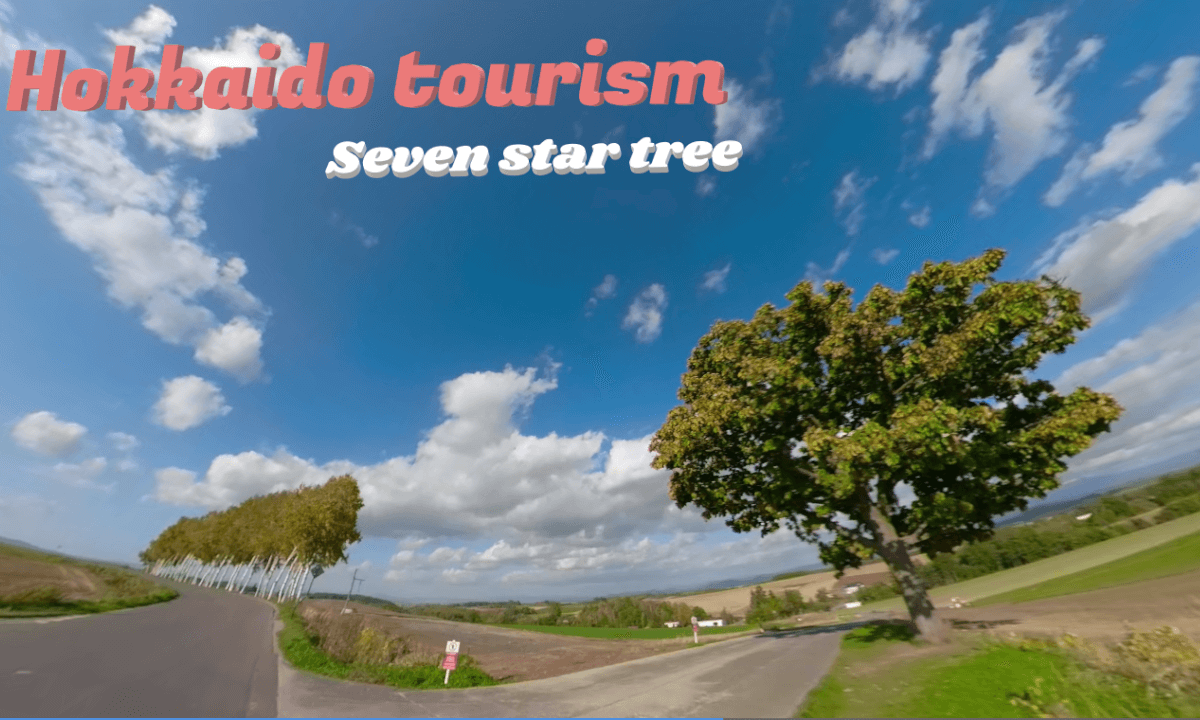 Warking around seven stars tree of Hokkaido ver2 (Re up load) VR Video Warking around seven stars tree of Hokkaido ver2 (Re up load) VR