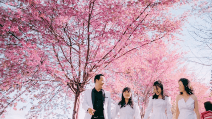 CF dd L-stitched VR Video CF dd L-stitched VR