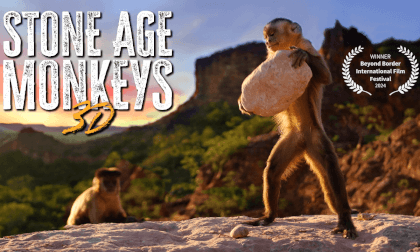 EXPERIENCE THE STUNNING STONE AGE MONKEYS IN 8K 3D! VR Video EXPERIENCE THE STUNNING STONE AGE MONKEYS IN 8K 3D! VR