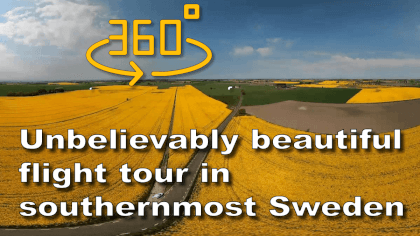Flighing over the yellow gold of southern Sweden