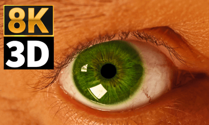 Macro World - Part 3! (Stunning 8K 3D) Macro World - Part 3! (Stunning 8K 3D)