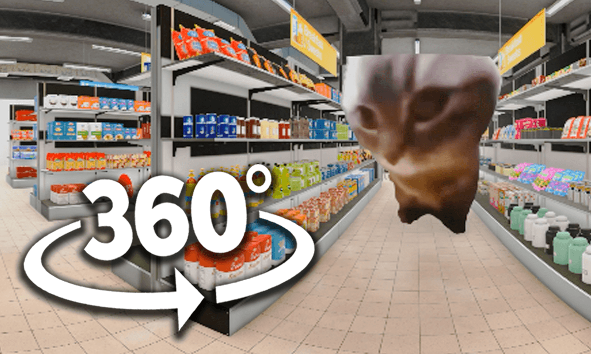 360° CHIPI CHIPI CHAPA CHAPA CAT - Supermarket | 4K VR 360 Video