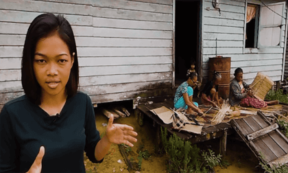 Borneo - Destroyed Rainforests, Palmoil And Illegal Gold Mines Borneo - Destroyed Rainforests, Palmoil And Illegal Gold Mines