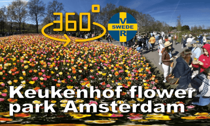 Keukenhof  flower park Amsterdam