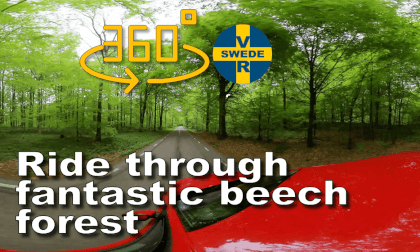 Ride through fantastic beech forest