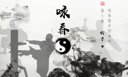 3D Stereoscopic Wing Chun Twelve Hands - Fushou Kung Fu Classroom VR Video 3D Stereoscopic Wing Chun Twelve Hands - Fushou Kung Fu Classroom VR