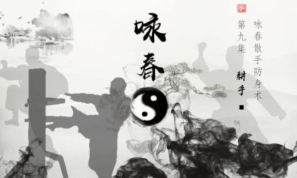 3D Stereoscopic Yongchun Twelve Hands - Gengshou Kung Fu Classroom 3D Stereoscopic Yongchun Twelve Hands - Gengshou Kung Fu Classroom