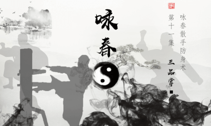 3D Stereoscopic Wing Chun Twelve Hands - Third Grade Palm Kung Fu Classroom