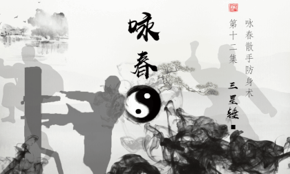 3D Stereoscopic Wing Chun Twelve Hands - Three Star Hammer Kung Fu Classroom 3D Stereoscopic Wing Chun Twelve Hands - Three Star Hammer Kung Fu Classroom