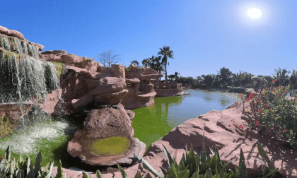 AGADIR MAROC CROCOPARK 2 29.01.24 VR Video AGADIR MAROC CROCOPARK 2 29.01.24 VR