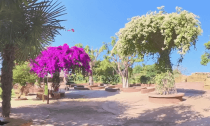 AGADIR MAROC CROCOPARK 3 29.01.24 VR Video AGADIR MAROC CROCOPARK 3 29.01.24 VR